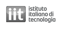 Istituto Italiano di Tecnologia
